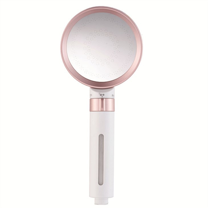 best luxury handheld shower head